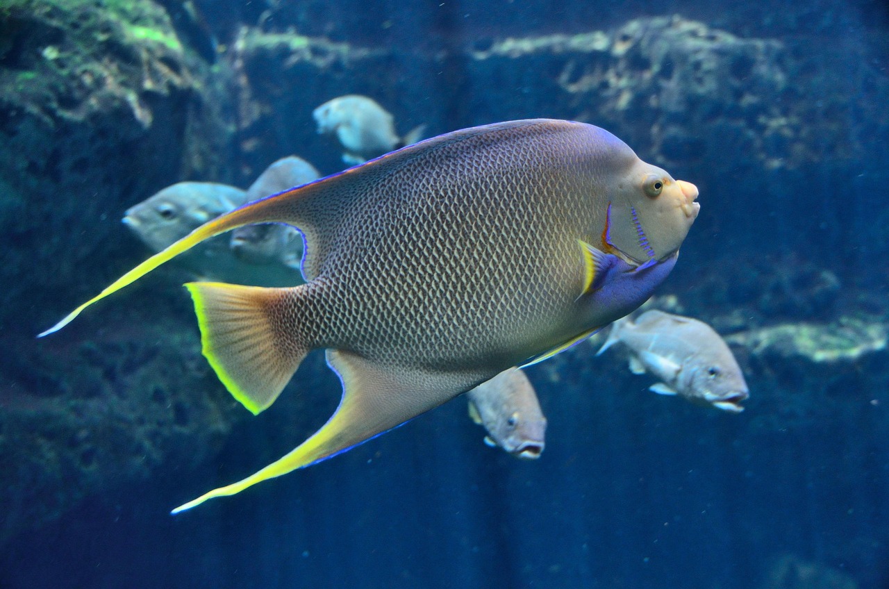 Best Online Casinos to Play Fishing God in Malaysia 2026
