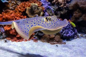 Fishing God Strategy Guide 2026: New Players Maximize Coins